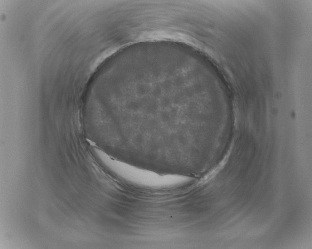 X0000071791497200607282250