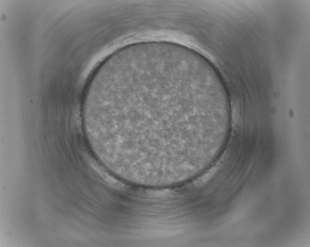 X0000071791498200607282250