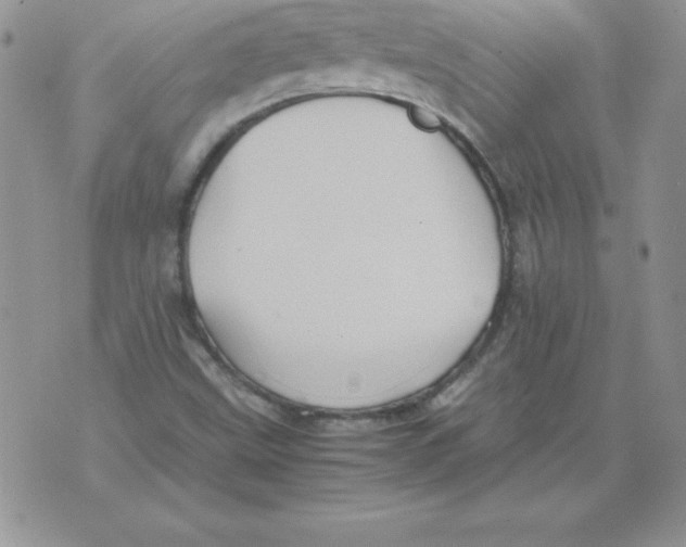 X0000071791499200607282250