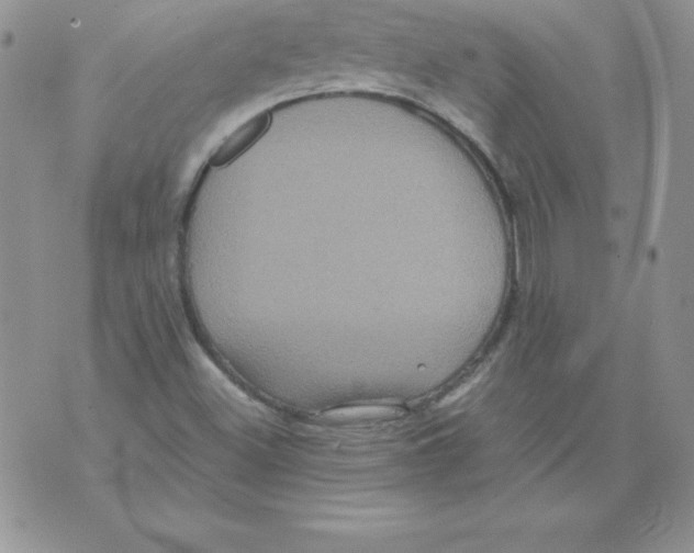 X0000071791500200607282250