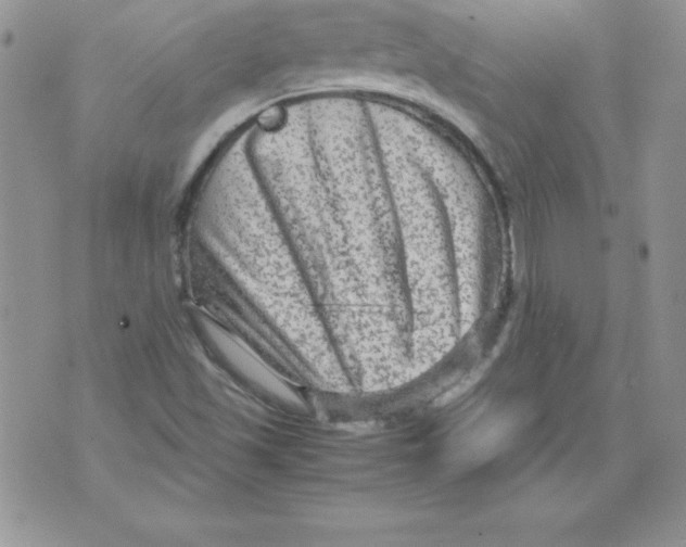 X0000071791501200607282250