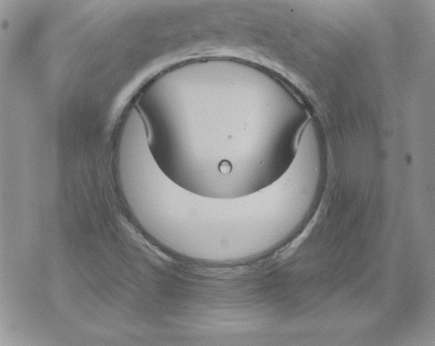 X0000071791502200607282250