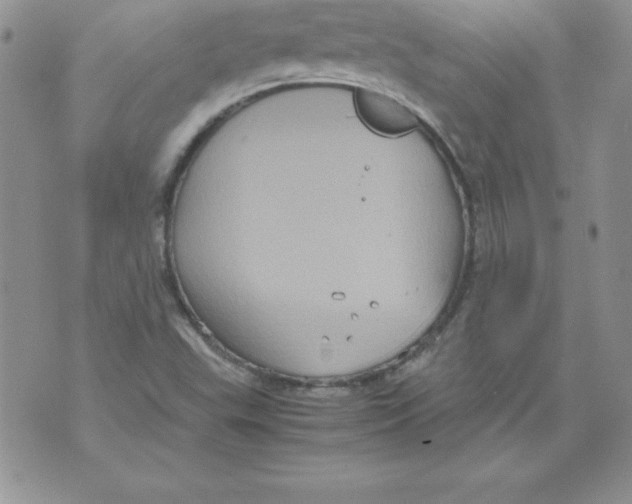 X0000071791503200607282250