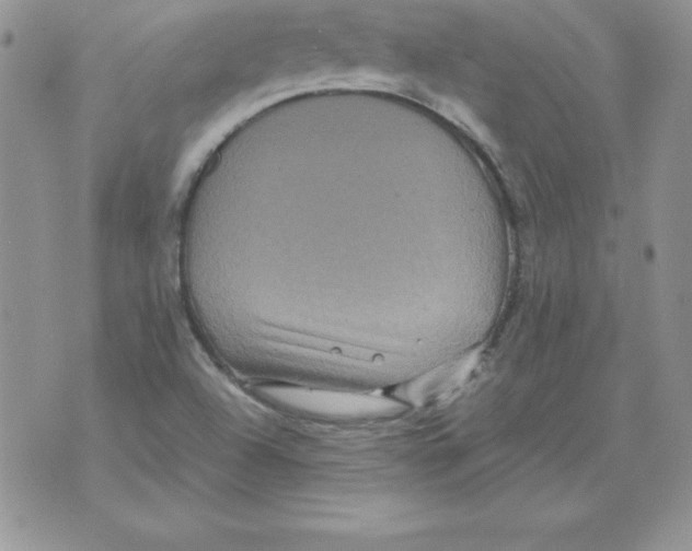 X0000071791504200607282250