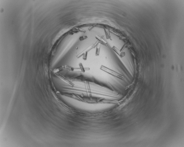 X0000071791505200607282250