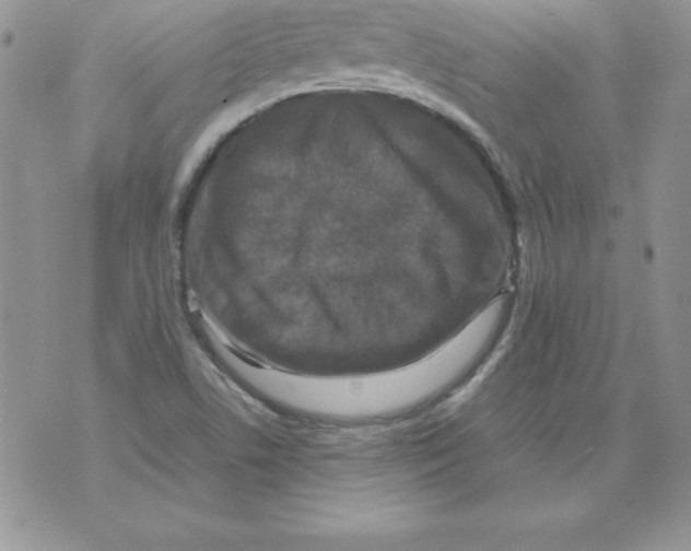 X0000071791506200607282250