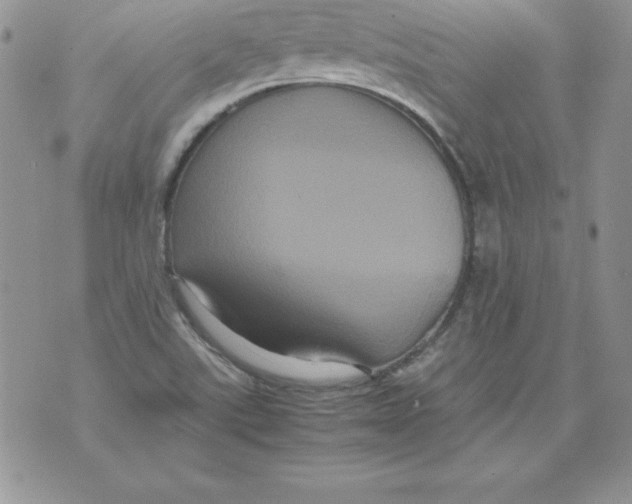 X0000071791507200607282250