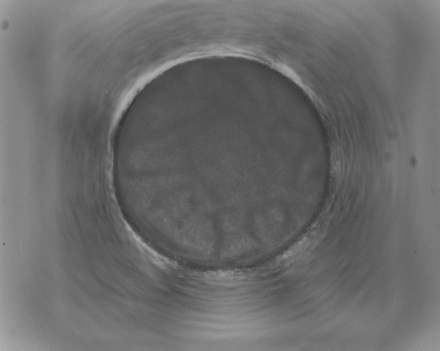 X0000071791508200607282250