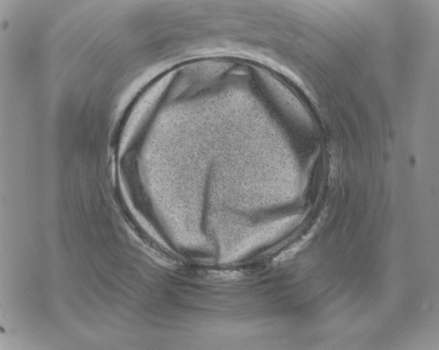 X0000071791509200607282250