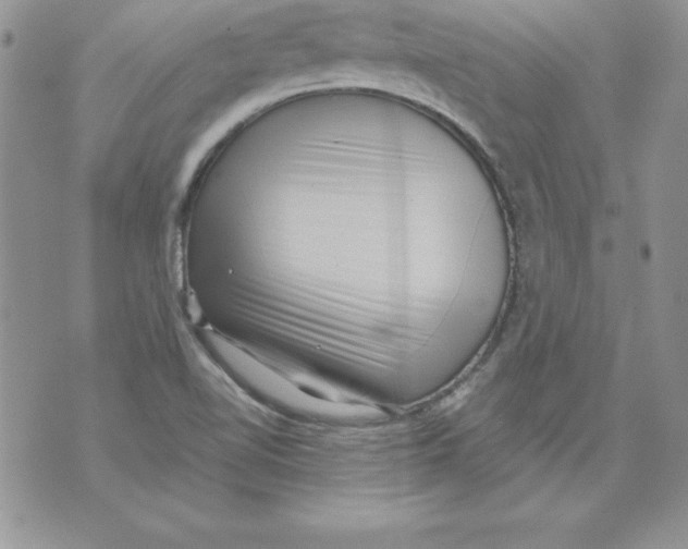 X0000071791510200607282250