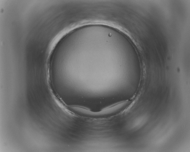 X0000071791511200607282250