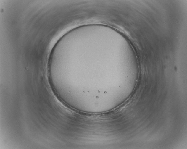 X0000071791512200607282250