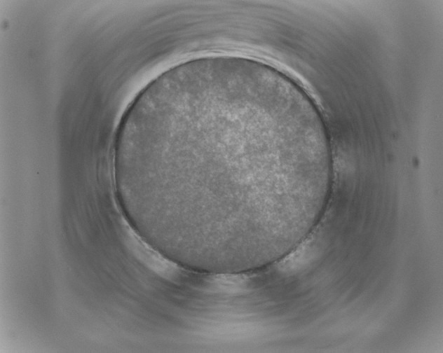 X0000071791514200607282250