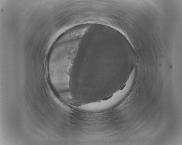 X0000071791515200607282250