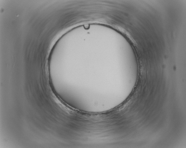 X0000071791516200607282250