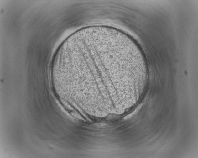 X0000071791517200607282250