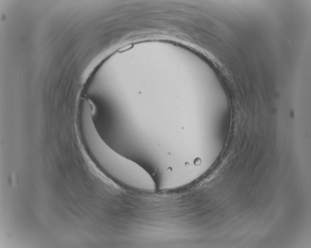 X0000071791518200607282250