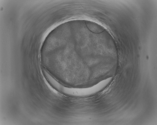 X0000071791519200607282250