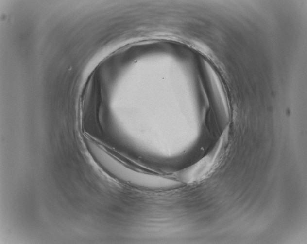 X0000071791520200607282250