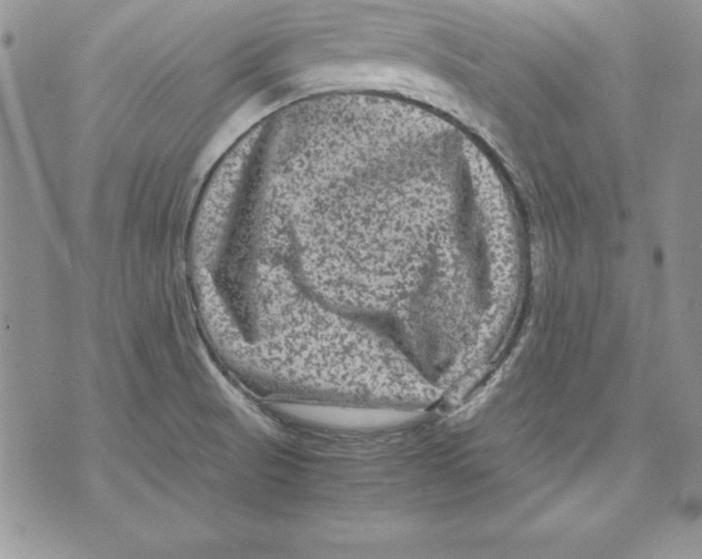 X0000071791521200607282250