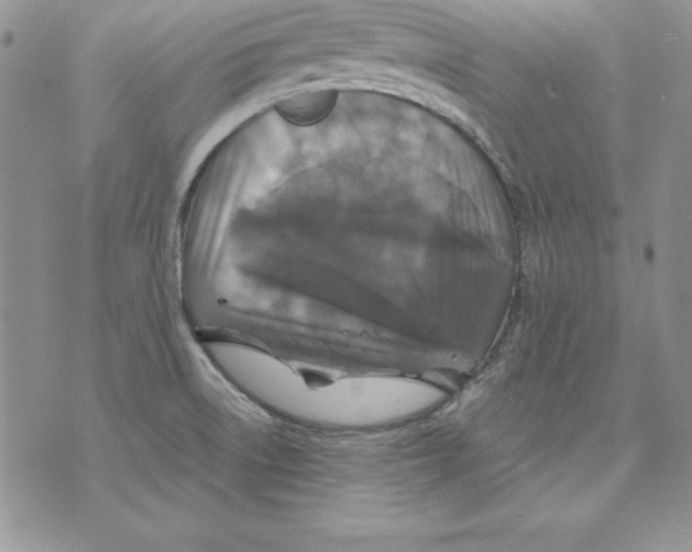 X0000071791522200607282250