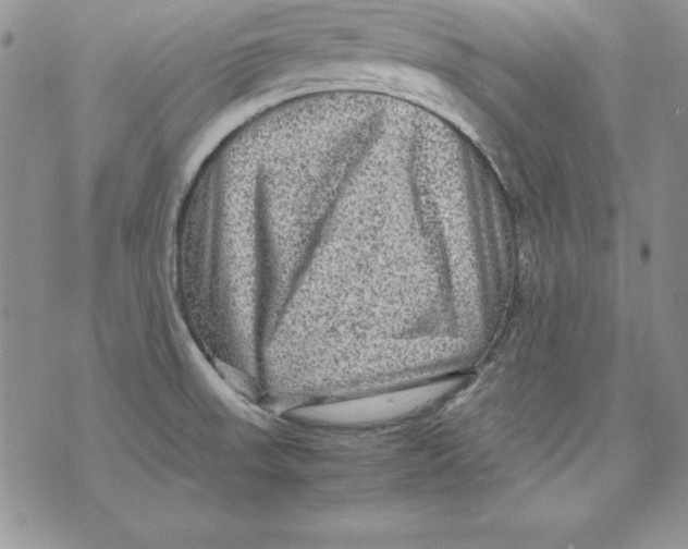 X0000071791523200607282250