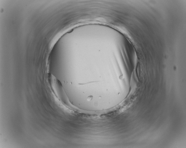 X0000071791524200607282250