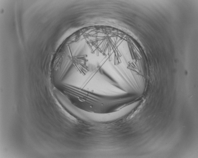 X0000071791525200607282250