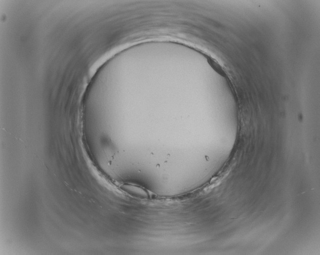 X0000071791526200607282250