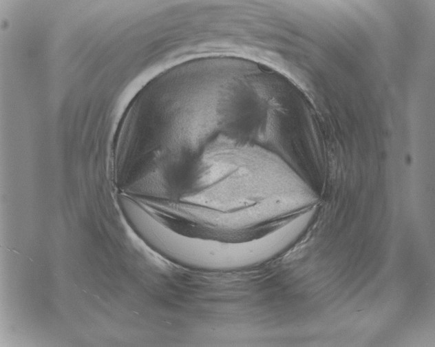 X0000071791527200607282250