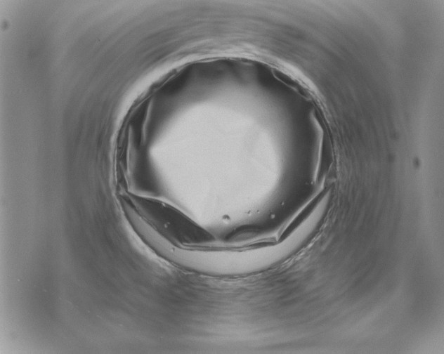 X0000071791528200607282250