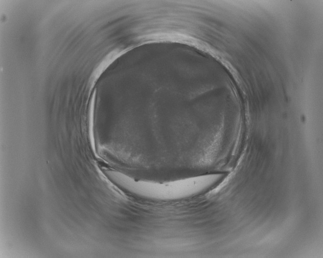 X0000071791529200607282250