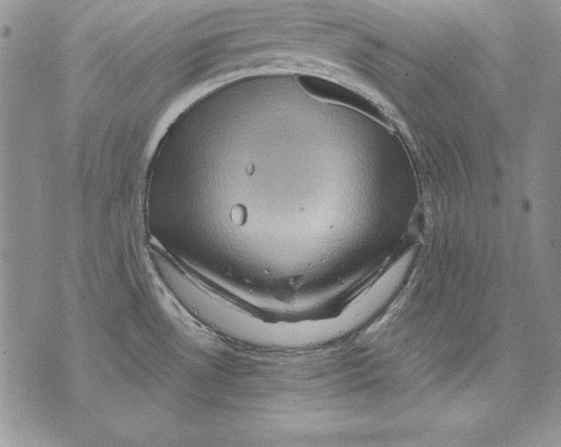 X0000071791530200607282250