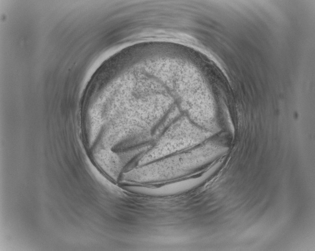 X0000071791531200607282250