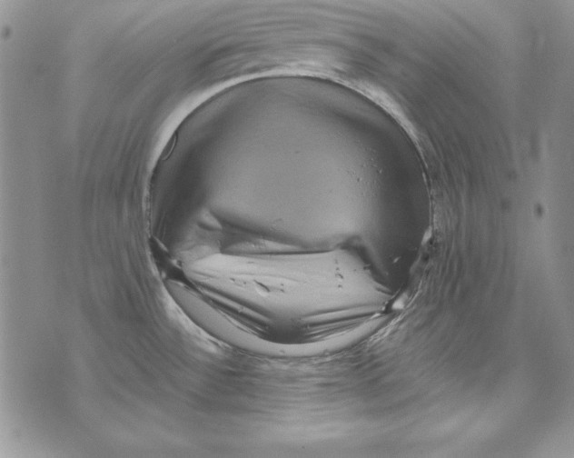 X0000071791532200607282250