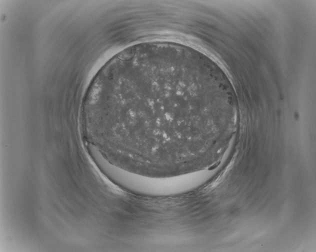 X0000071791533200607282250