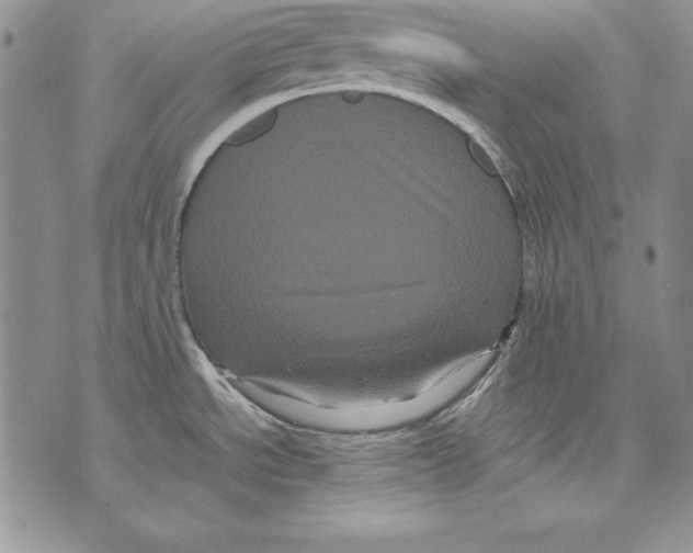 X0000071791534200607282250