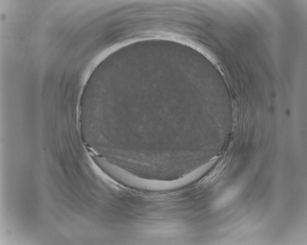 X0000071791535200607282250