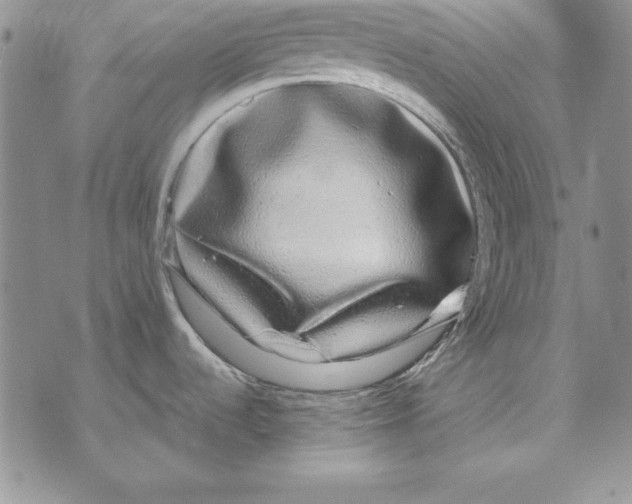 X0000071791536200607282250