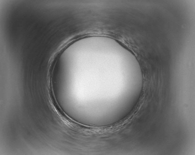 X0000071800005200606301021