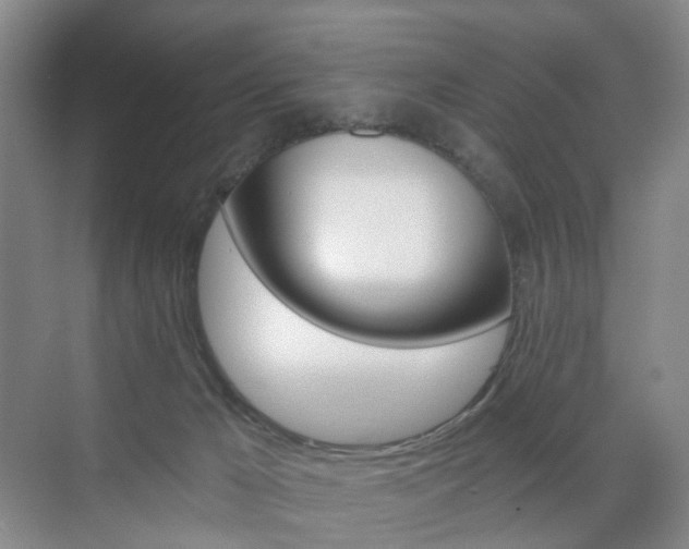 X0000071800029200606301021