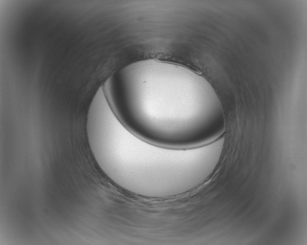 X0000071800041200606301021