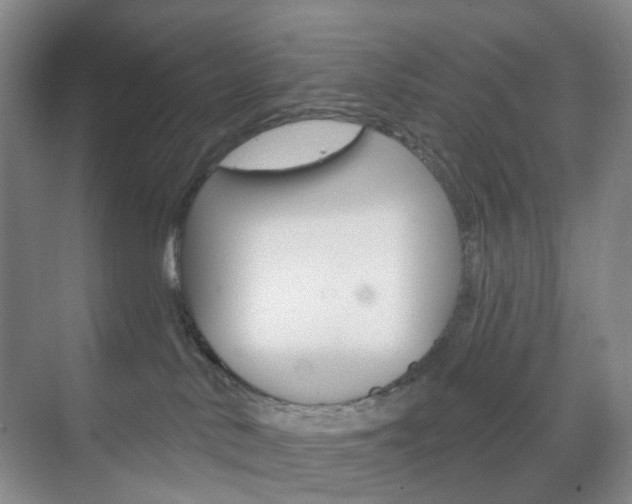 X0000071800042200606301021