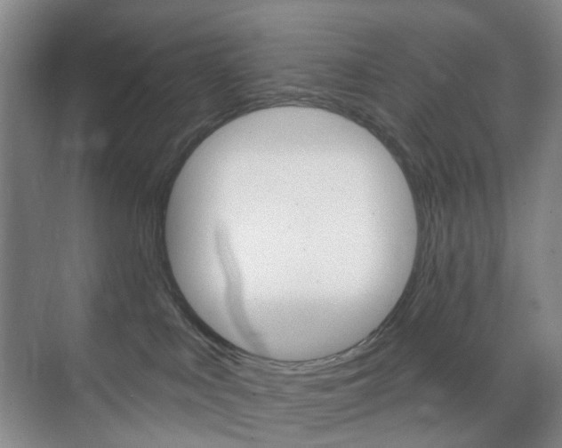 X0000071800043200606301021