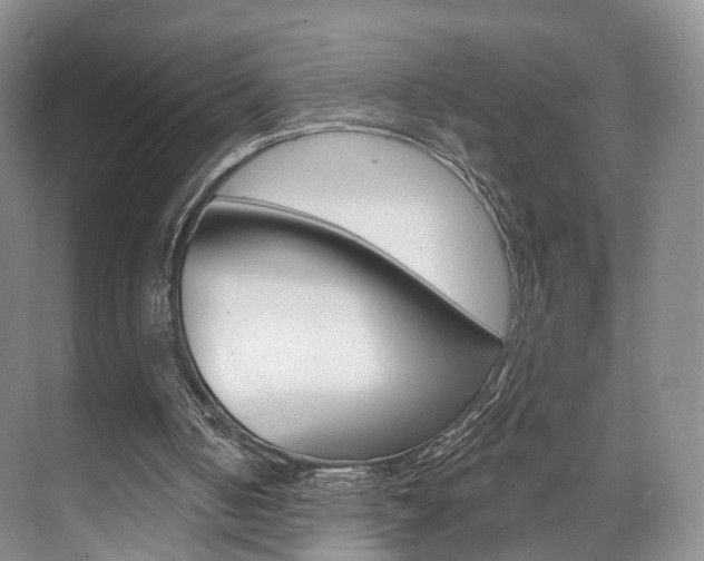 X0000071800050200606301020