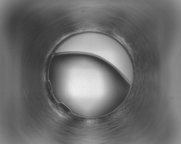 X0000071800060200606301020