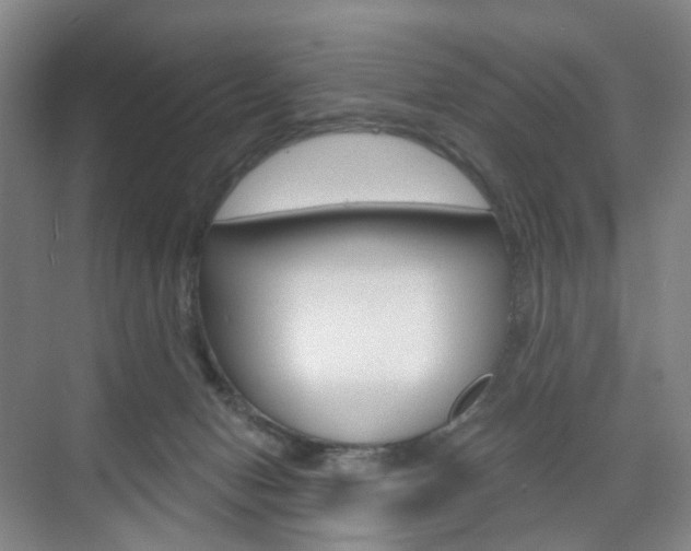 X0000071800078200606301020