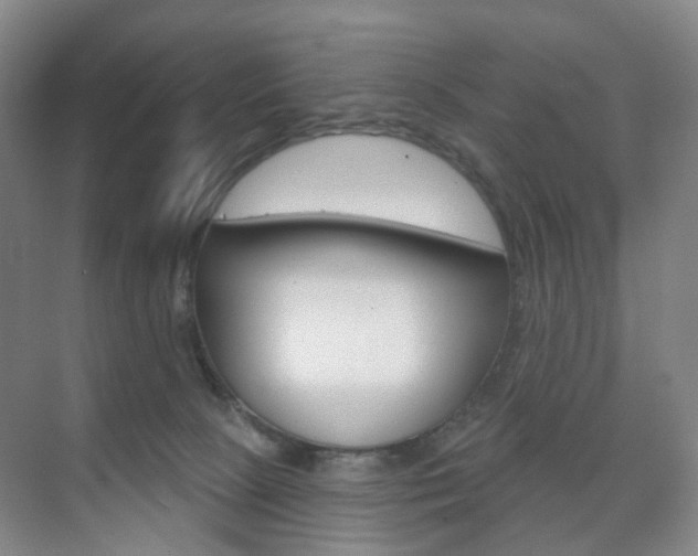 X0000071800081200606301021
