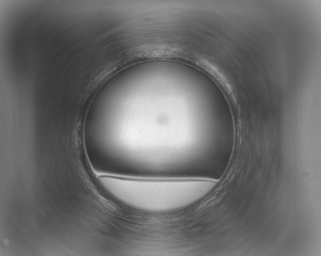 X0000071800105200606301020