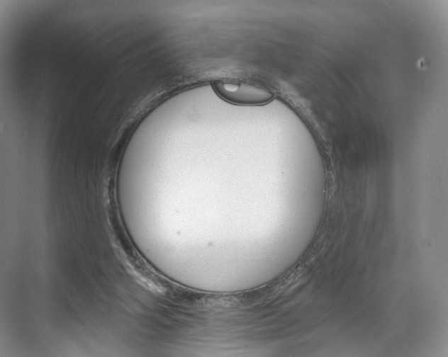 X0000071800106200606301020